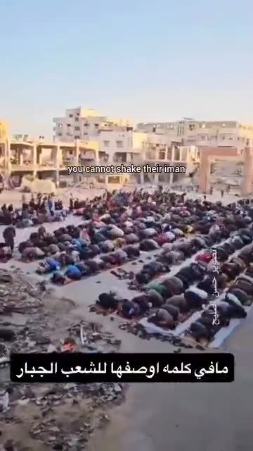 “Indeed, with hardship comes ease. With hardship comes ease.” [Q 94:5-6])