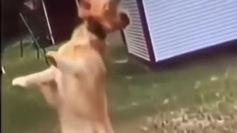 Funny wasted moments #1