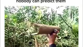 😂🤣 Boys Did a Great Job! | FunFM