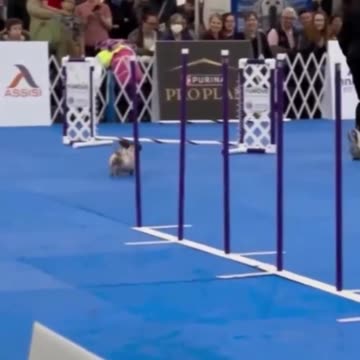 She may be old, but she did herself proud.. 😊