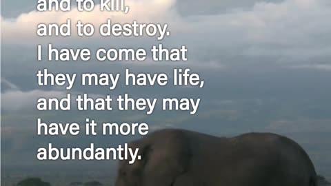 John 10:10