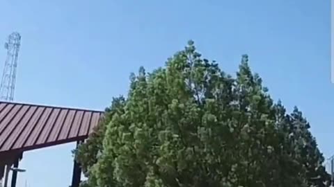 Staffer at @sbvalleycollege has reportedly been arrested after waving a knife at pro-lifers.