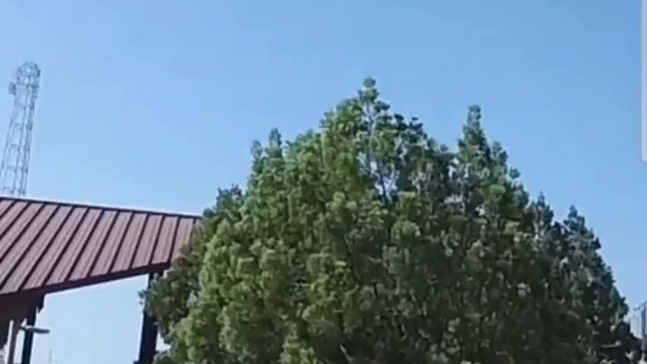 Staffer at @sbvalleycollege has reportedly been arrested after waving a knife at pro-lifers.