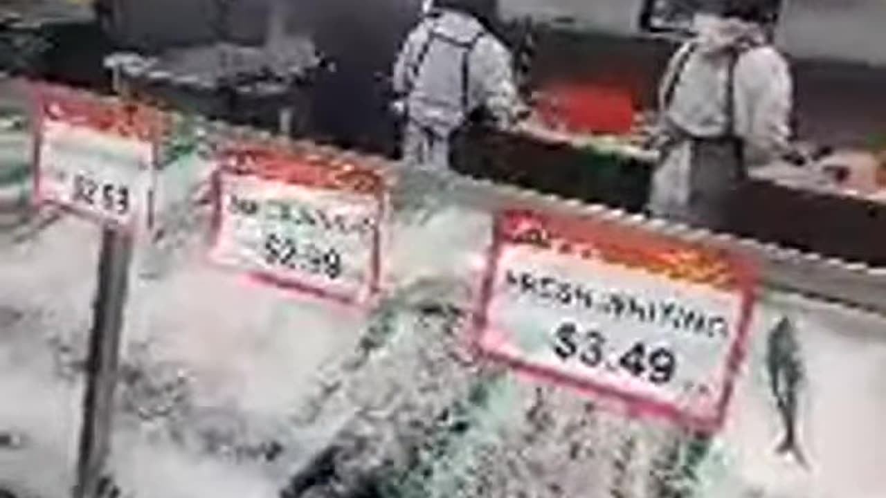 getting some fresh catfish in Atlanta, pretty funny, the shea show