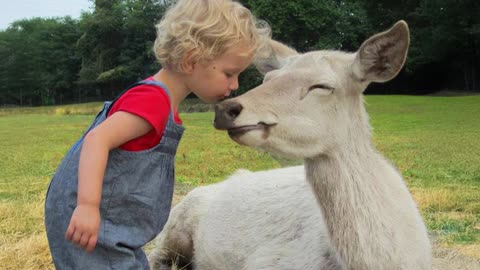 Little Friends Melt The Hearts of Even The Wildest Animals At First Sight