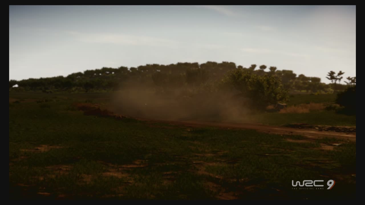 WRC9 (Ps5) Race25
