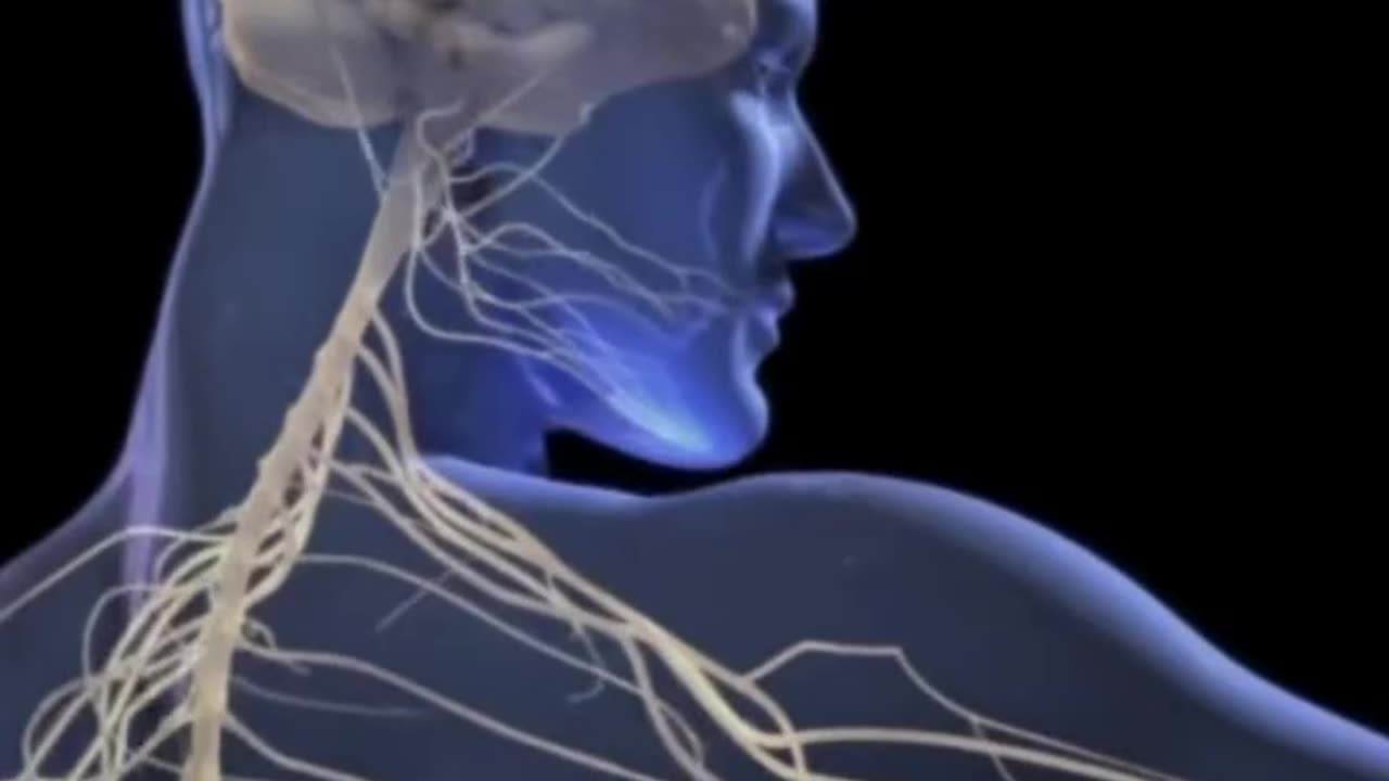 Amazing fact video related mind