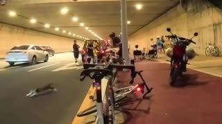 😂🚲 He Must Have Had a Scary Encounter with a Bicycle! | FunFM
