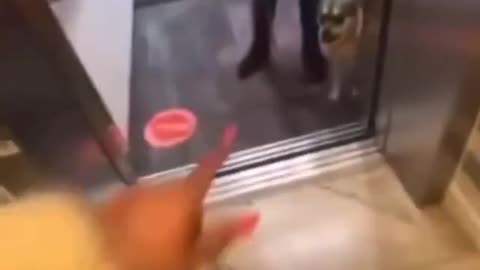 Caught In The Middle