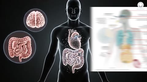 An Invisible Enemy In Every Organ Of Your Body..