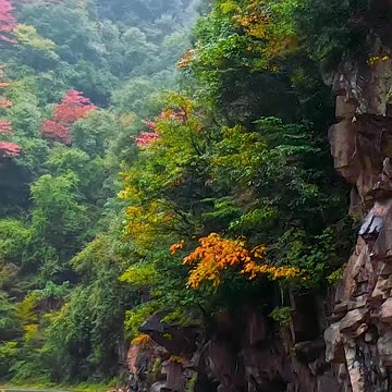 Mountain middle point Road nature view video 2025 skc.com 19