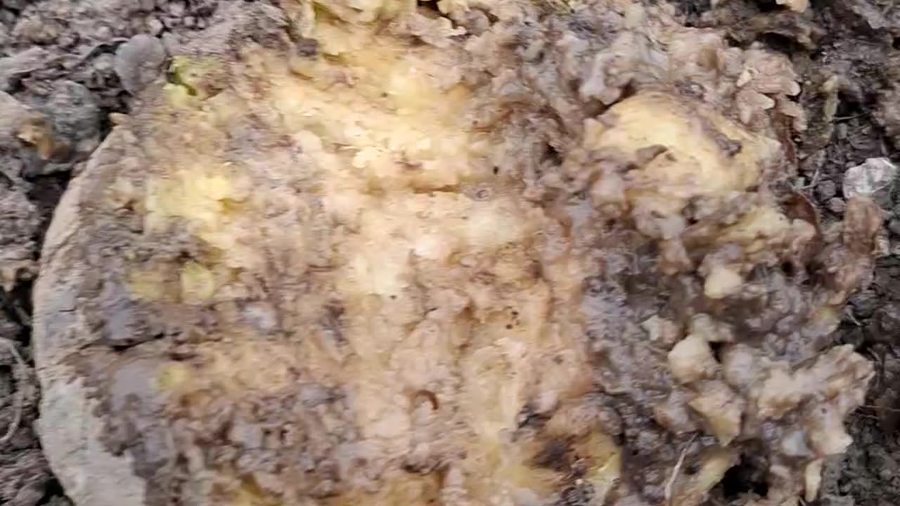 The Truth About British Mashed Potato 🥔