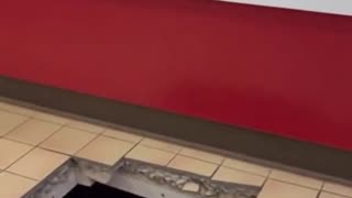 (AI) Huge Woman Falls Through Floor While Ordering at Fast Food Restaurant