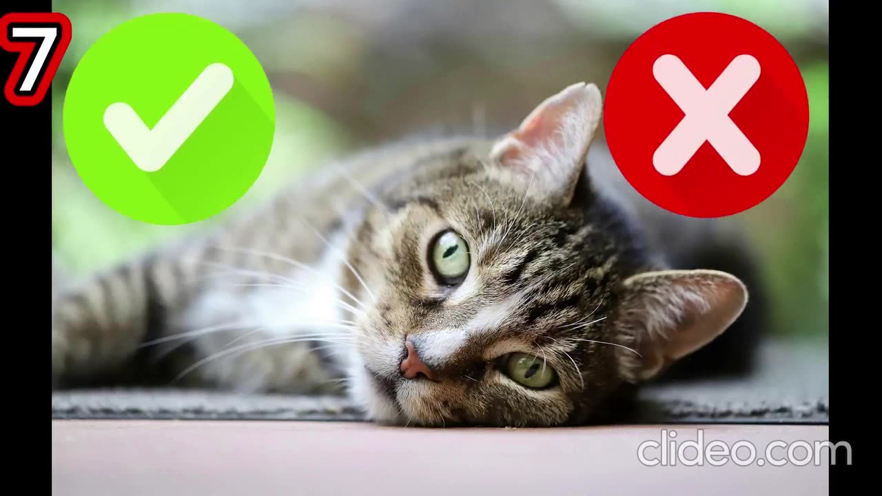 Guess where the AI is