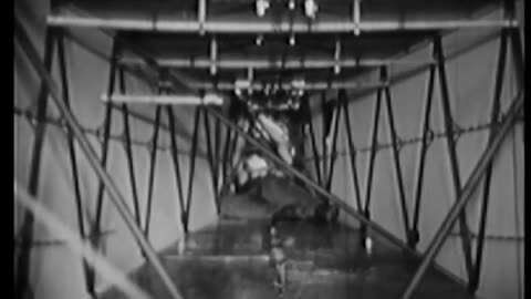 GLIDING WINGS - GLIDING WINGS - fc-fc-4950