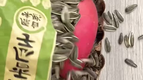 👀💡 Learn This Amazing Hack in 60 Seconds! | LifeHacksDaily