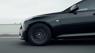 Digital Bloom – beauty built from beats.