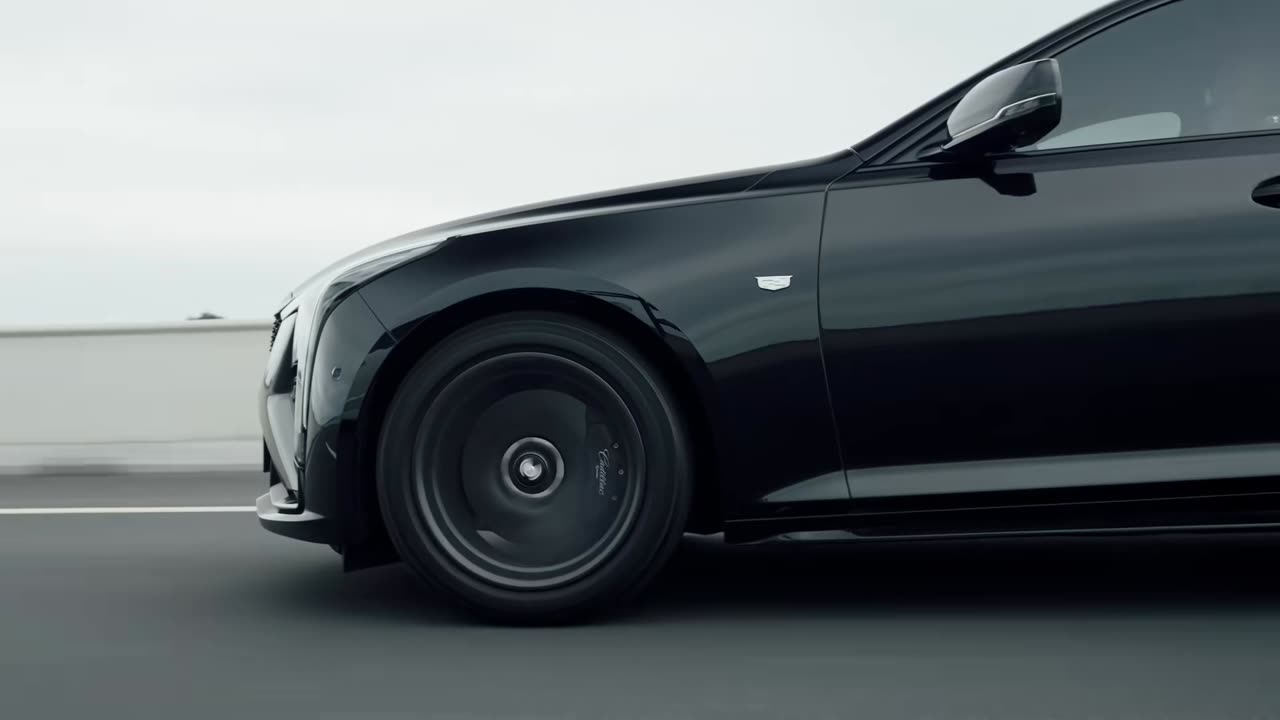 Digital Bloom – beauty built from beats.