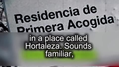 Ayuso se negó a hacer prueba de edad a marroquí quien ahora es un violador