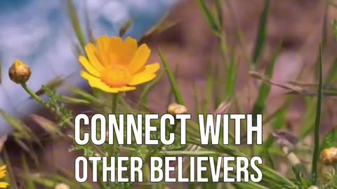 Trust His plan, lean into His wisdom, and watch Him work wonders.