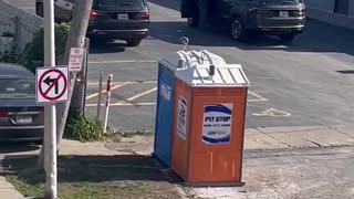 Kooky Karen screams and yells at DHS agents from her balcony.