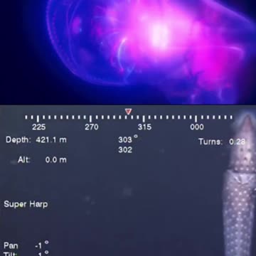 James Cameron's THE ABYSS is a documentary? Life Imitates Art. UAPs compared.