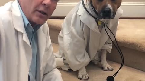 if you need ANOTHER reason to get a dog