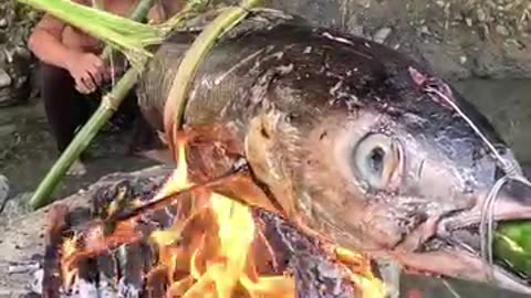Catch a big tuna grilled