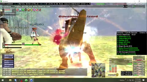 Playing Final Fantasy XI Online