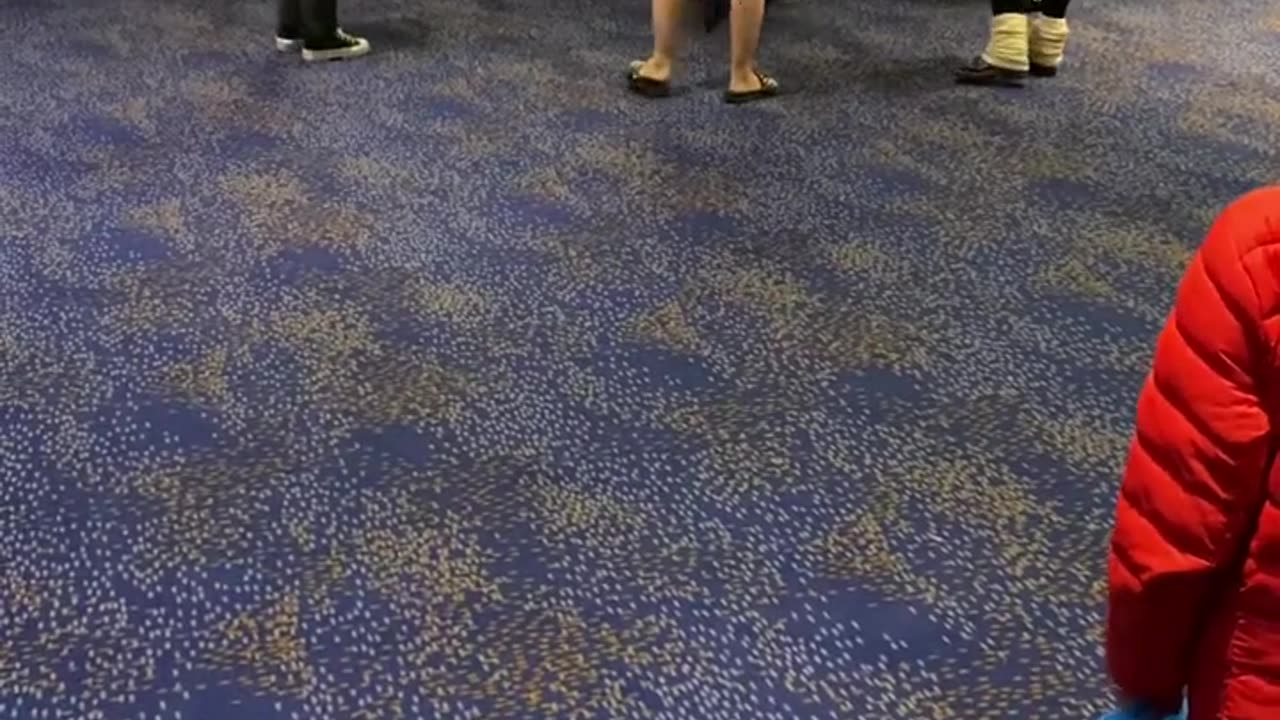 Derpycon 2022 video 1