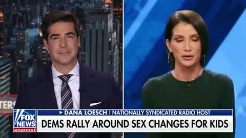 Democrats' sanity is on life support, Dana Loesch says