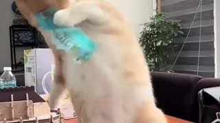 🤫💥 This Secret Move Will Blow Your Mind! Funny Tricks | FunFM