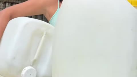 Hice Estos lindos Nidos para mis Gallinas con pomas Recicladas.