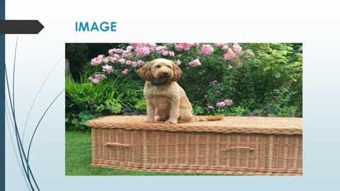 Best Traditional Burials in Boxmoor