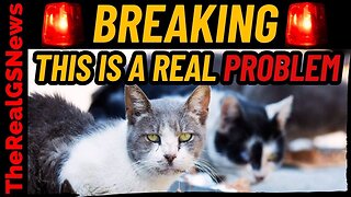 🚨 BREAKING! SOMETHING IS WRONG WITH THE ANIMALS - PAY ATTENTION