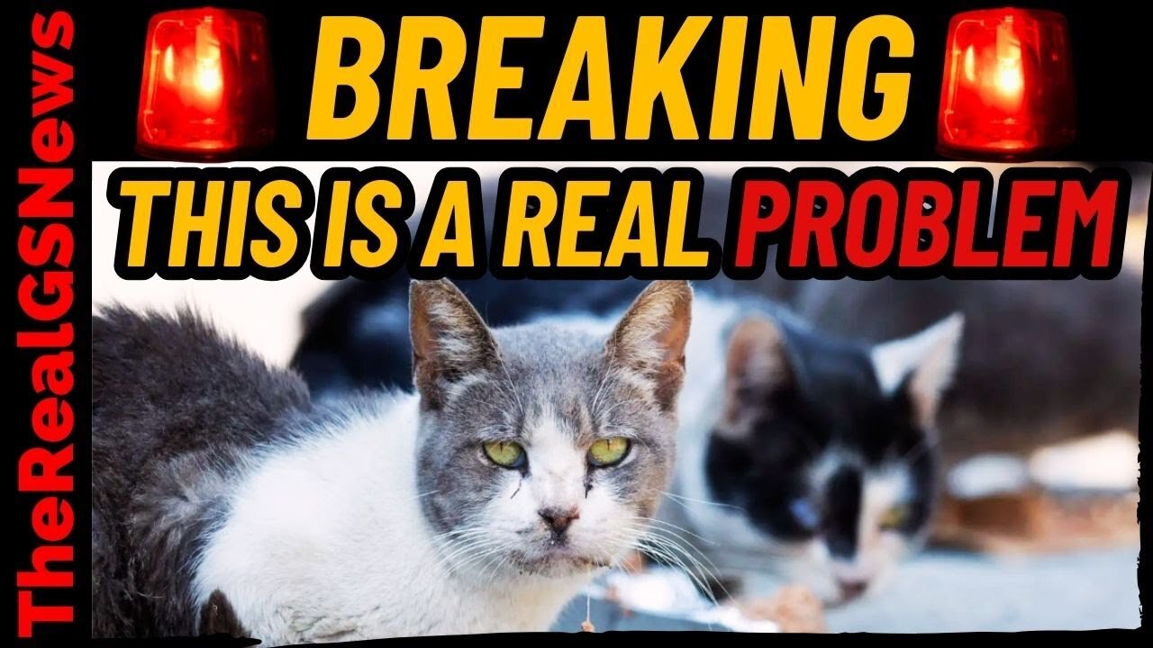 🚨 BREAKING! SOMETHING IS WRONG WITH THE ANIMALS - PAY ATTENTION