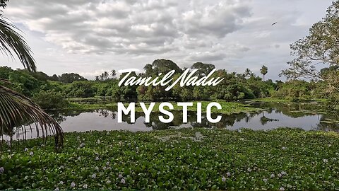 Exploring Arunjunai Katha Ayyanar Temple | Rare Migratory Birds & Hidden Beauty of Tamil Nadu, India