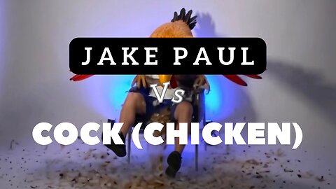 Jake Paul VS Cock(Chicken)