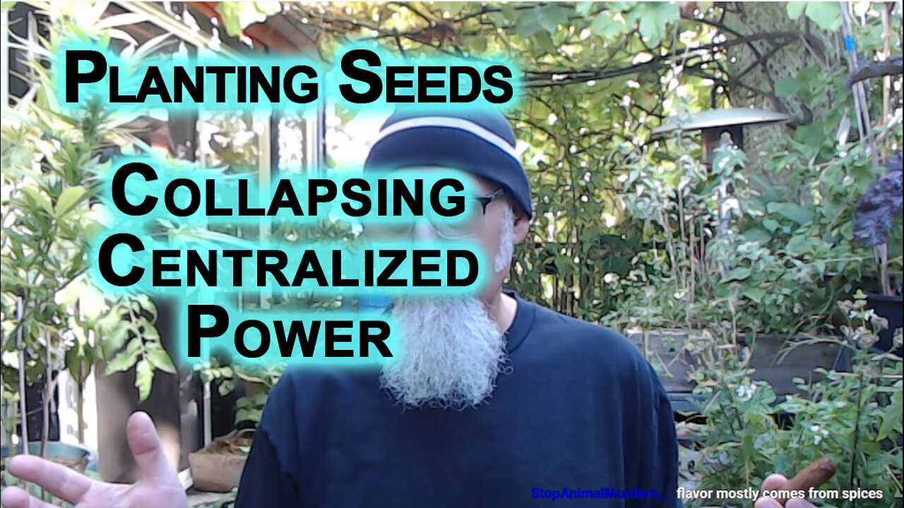 Debating Red Rats, Planting Seeds for the Future: Improving Society One Person at a Time, Solutions