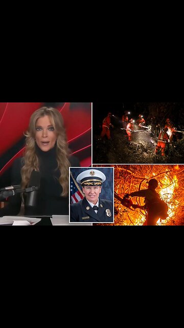 Megyn Kelly blames DEI-obsessed fire department leaders for sending ‘obese’ lesbians to LA fires: