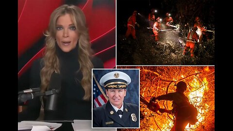 Megyn Kelly blames DEI-obsessed fire department leaders for sending ‘obese’ lesbians to LA fires: