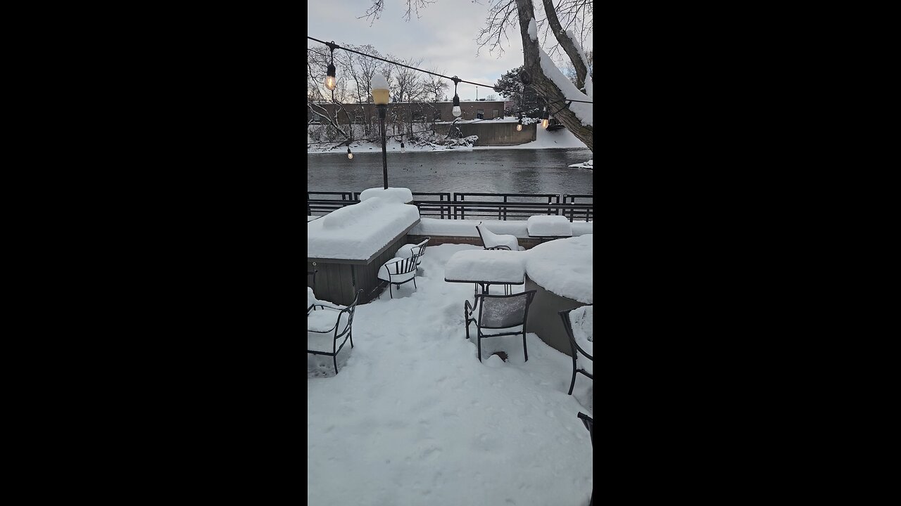 A View of Ducks on the Fox River