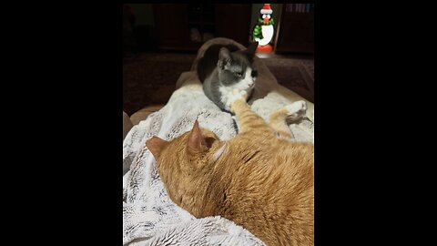 Episode 3053 CWSA 12/25/25