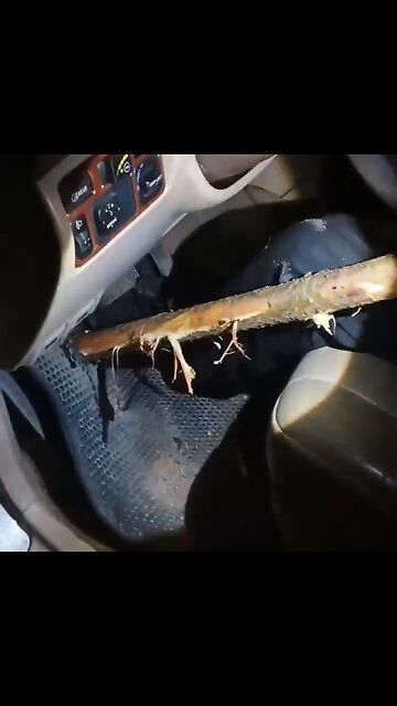 🤯 Un par de centímetros separan a un hombre de la muerte