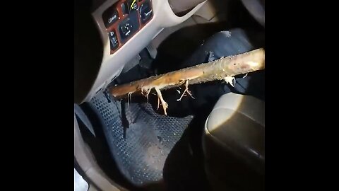 🤯 Un par de centímetros separan a un hombre de la muerte