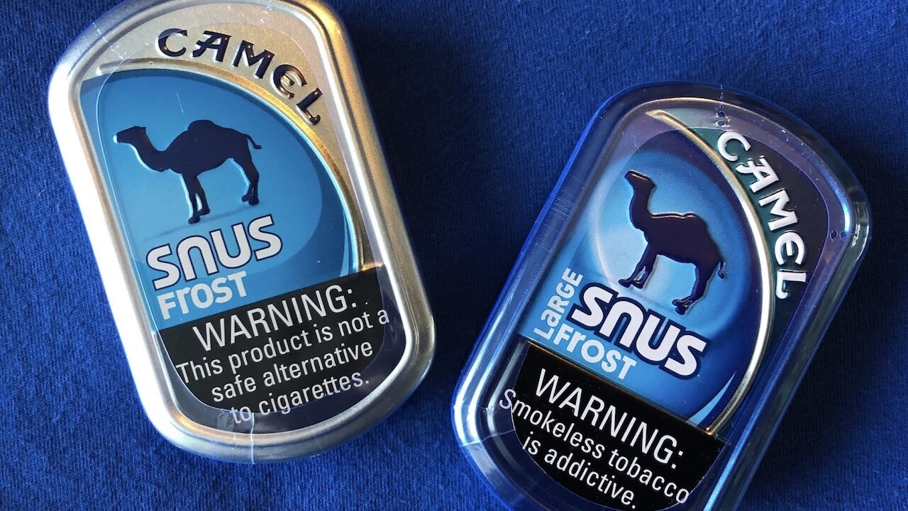 Camel "Snus" Frost Review