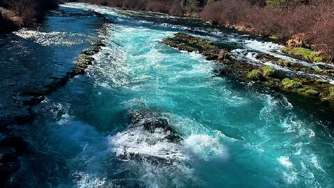 Hiking Both West & East Metolius River Trails to the Turquoise Zone! | Deschutes NF | Central Oregon