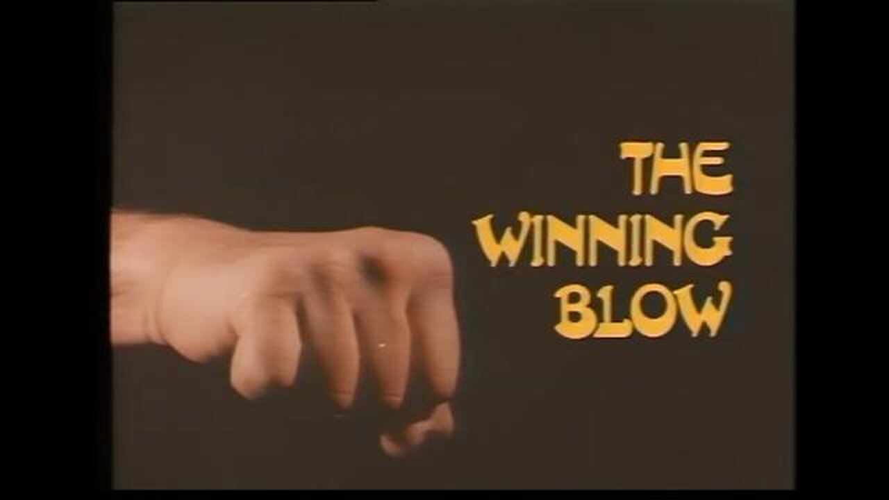 The Winning Blow - Karate