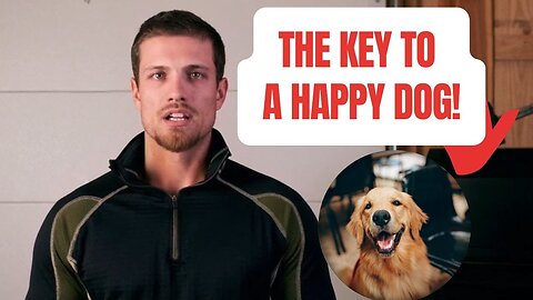 Take Care of Your Dog – The Complete Guide to a Healthy and Happy Pet