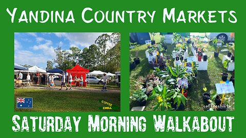 Yandina Country Markets - Saturday Morning Walkabout - Sunshine Coast Qld Australia #downunder 🍍 TV